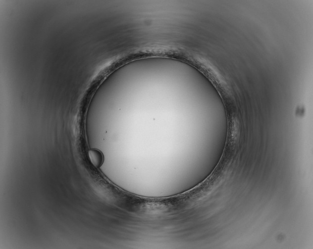 X0000102490636200808221731