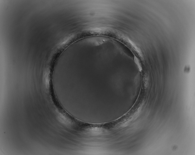 X0000102490637200808221731