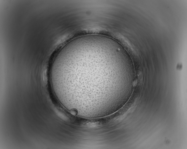 X0000102490638200808221731