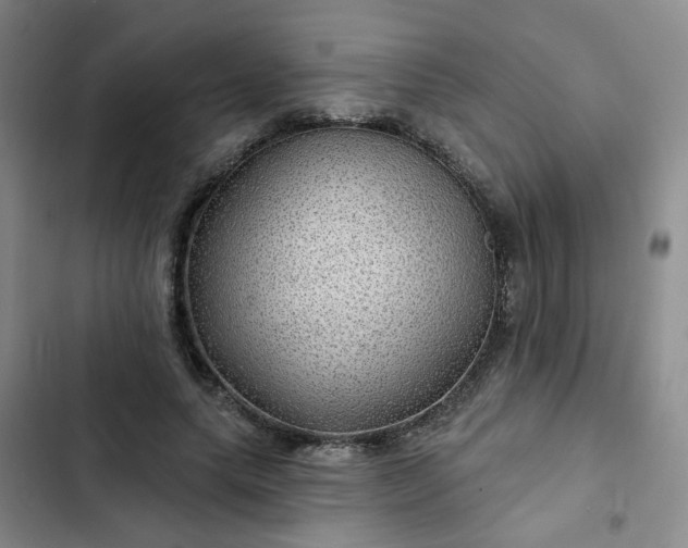 X0000102490639200808221731