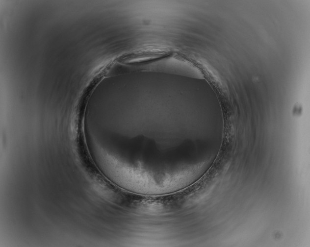 X0000102490640200808221731