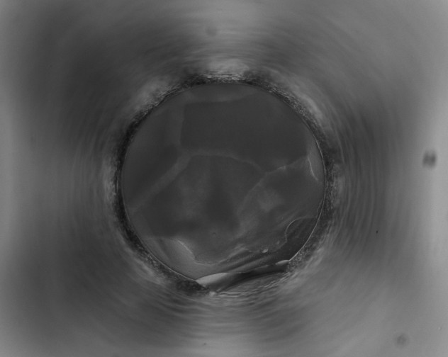 X0000102490641200808221731