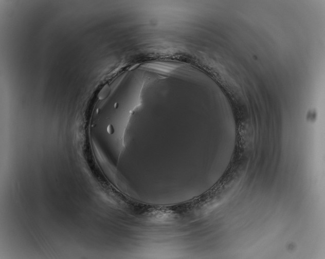 X0000102490642200808221731