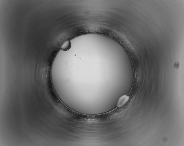 X0000102490645200808221732