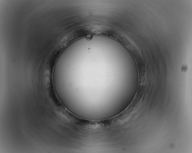 X0000102490646200808221732