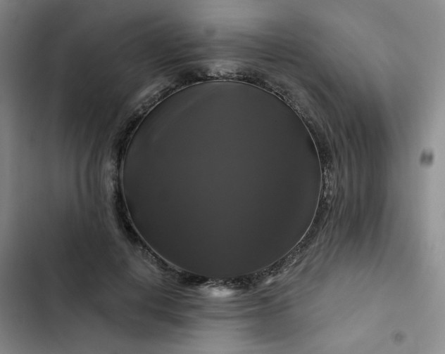 X0000102490648200808221732