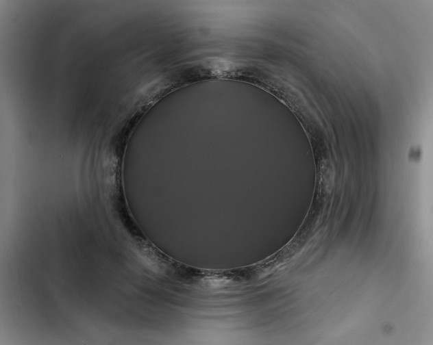 X0000102490650200808221732