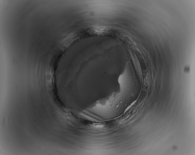 X0000102490651200808221732