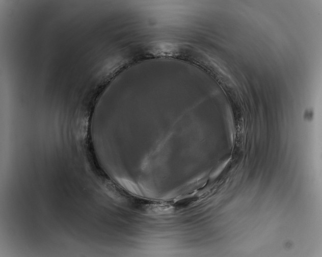 X0000102490652200808221732