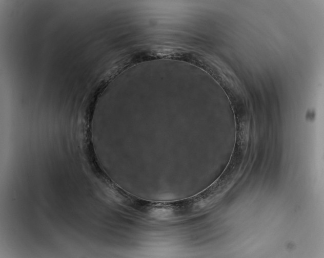 X0000102490653200808221732