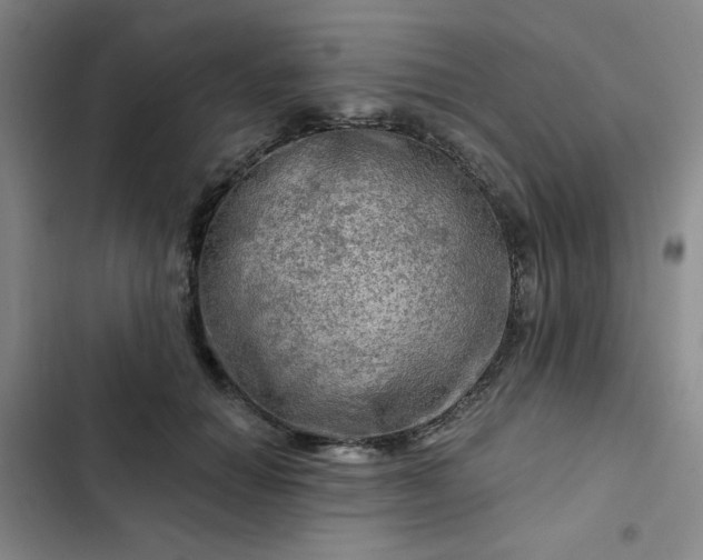 X0000102490654200808221732