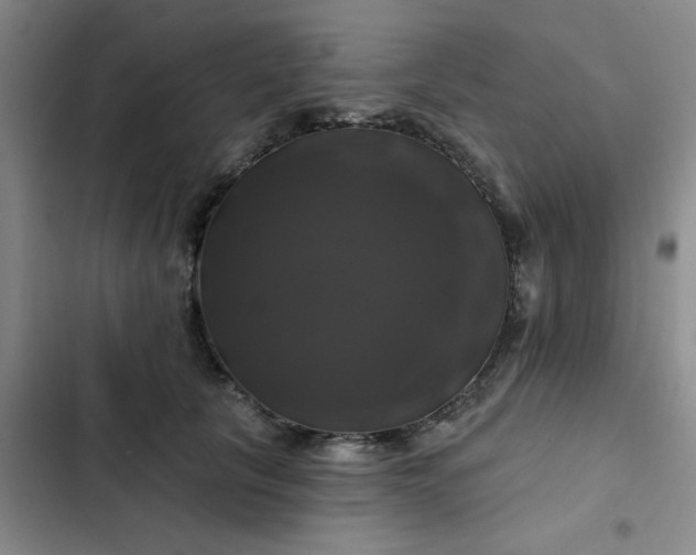 X0000102490657200808221732