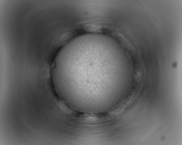 X0000102490658200808221732