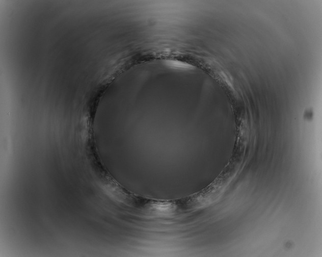 X0000102490659200808221732