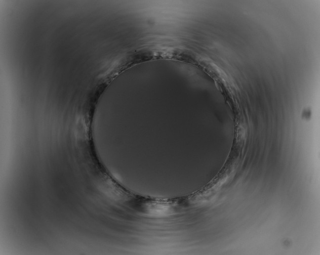 X0000102490661200808221732