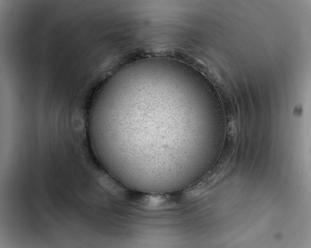 X0000102490662200808221732