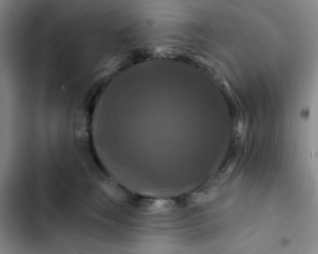 X0000102490663200808221732