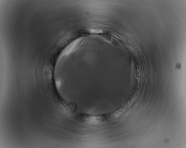 X0000102490664200808221732