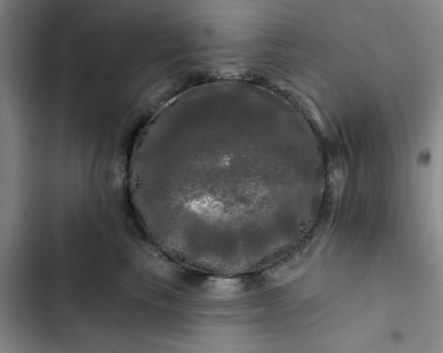 X0000102490665200808221732