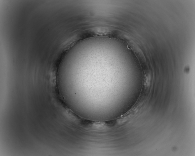 X0000102490666200808221732