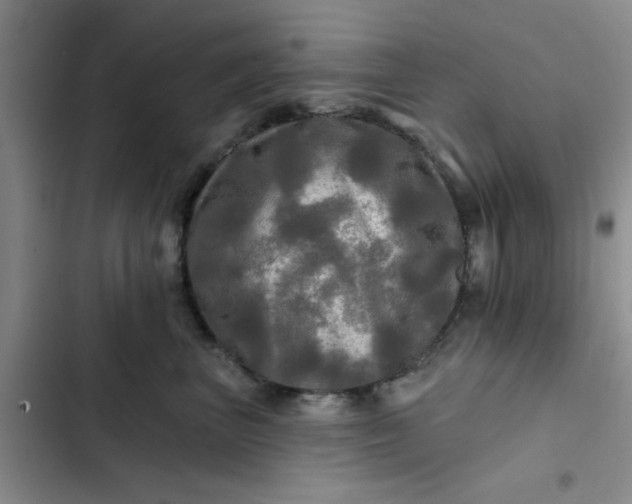 X0000102490667200808221732