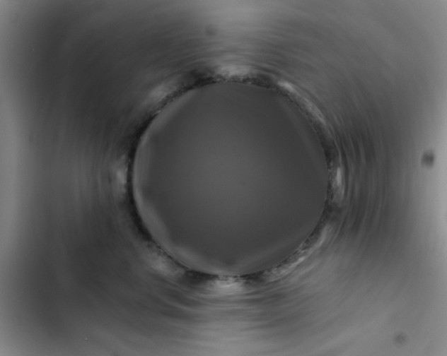 X0000102490668200808221732