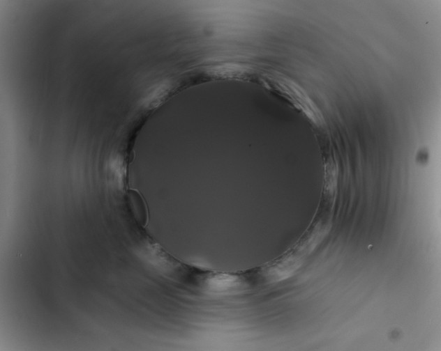 X0000102490669200808221732