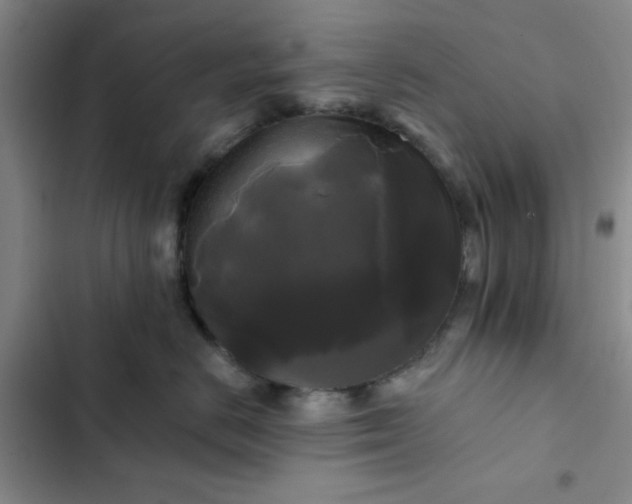 X0000102490670200808221732