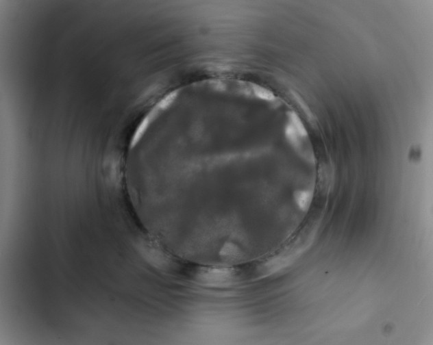 X0000102490671200808221732