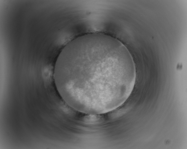 X0000102490672200808221732