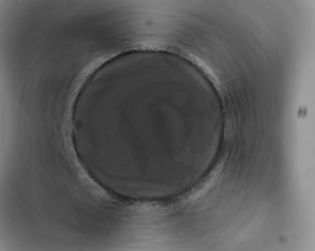 X0000102490673200808221731