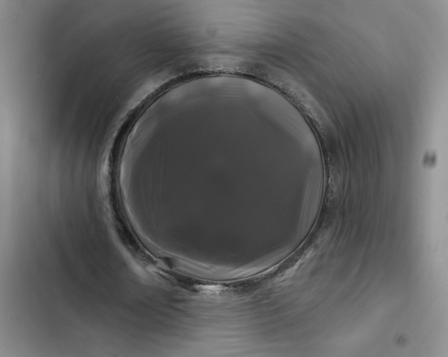 X0000102490674200808221731