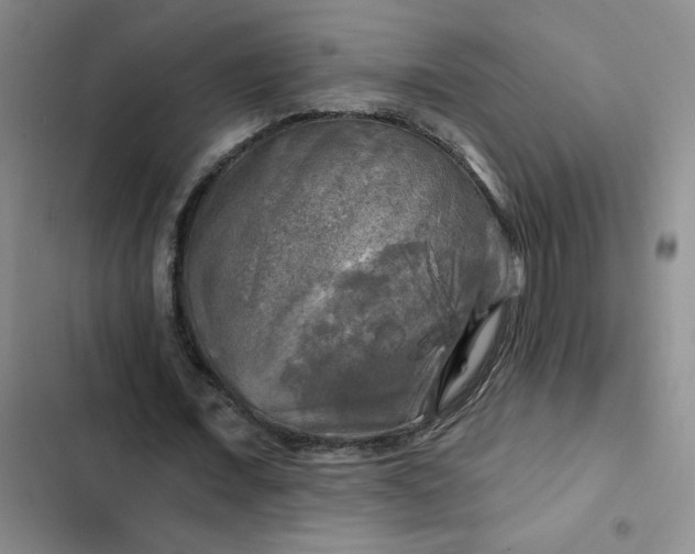 X0000102490675200808221731