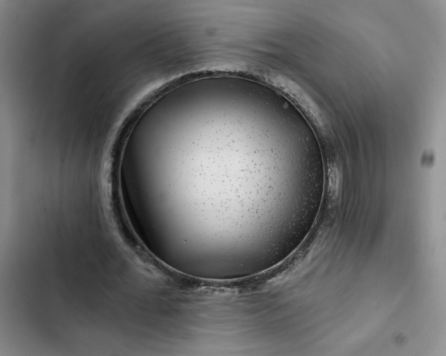 X0000102490676200808221731