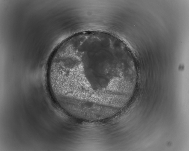 X0000102490679200808221731