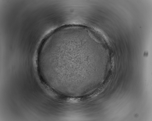 X0000102490680200808221731