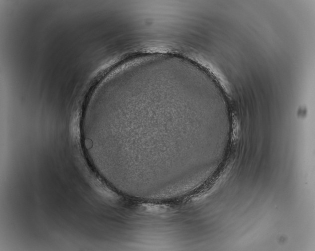 X0000102490681200808221731