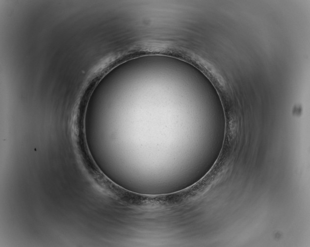 X0000102490682200808221731