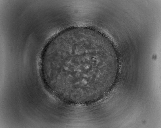 X0000102490683200808221731