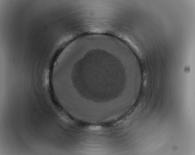 X0000102490685200808221731