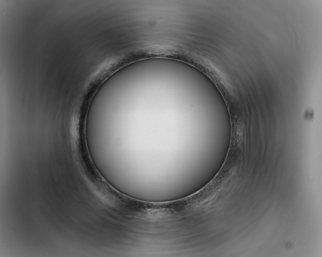 X0000102490686200808221731