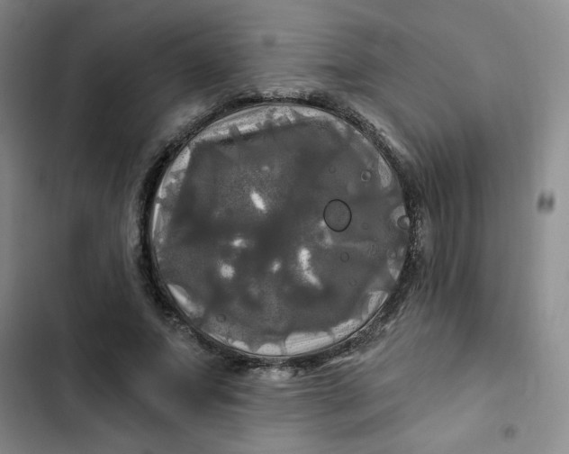 X0000102490687200808221731