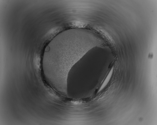 X0000102490693200808221731