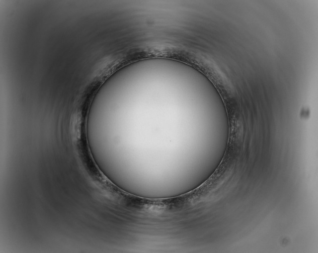 X0000102490694200808221731