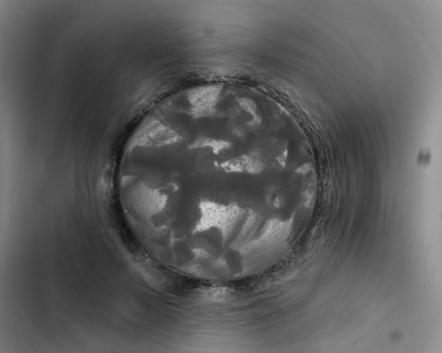 X0000102490695200808221731