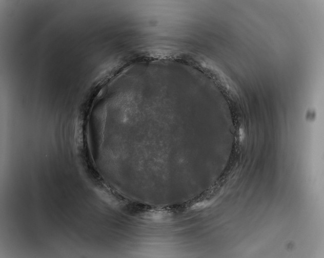 X0000102490696200808221731