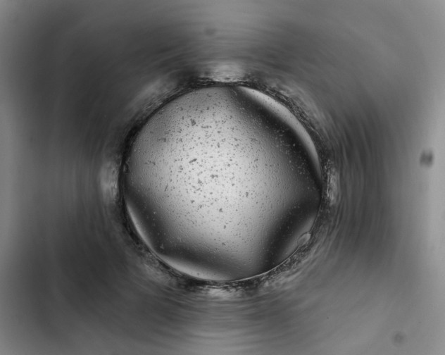 X0000102490697200808221731