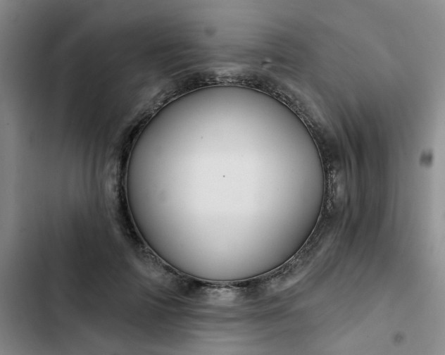 X0000102490698200808221731