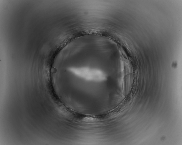 X0000102490699200808221731