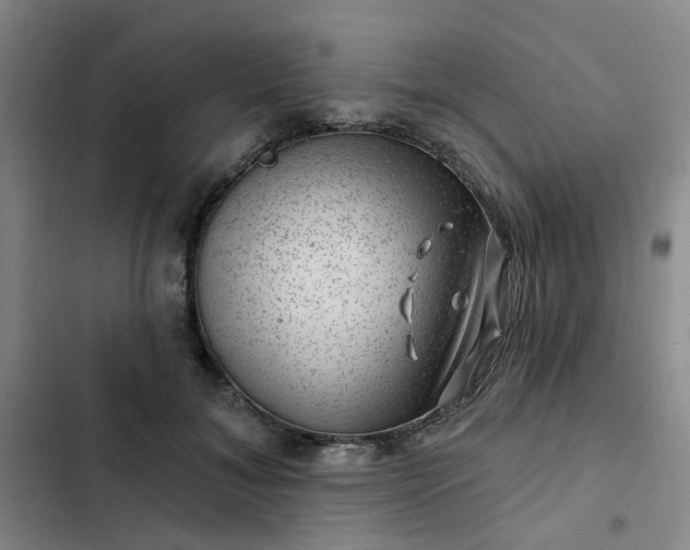 X0000102490700200808221731